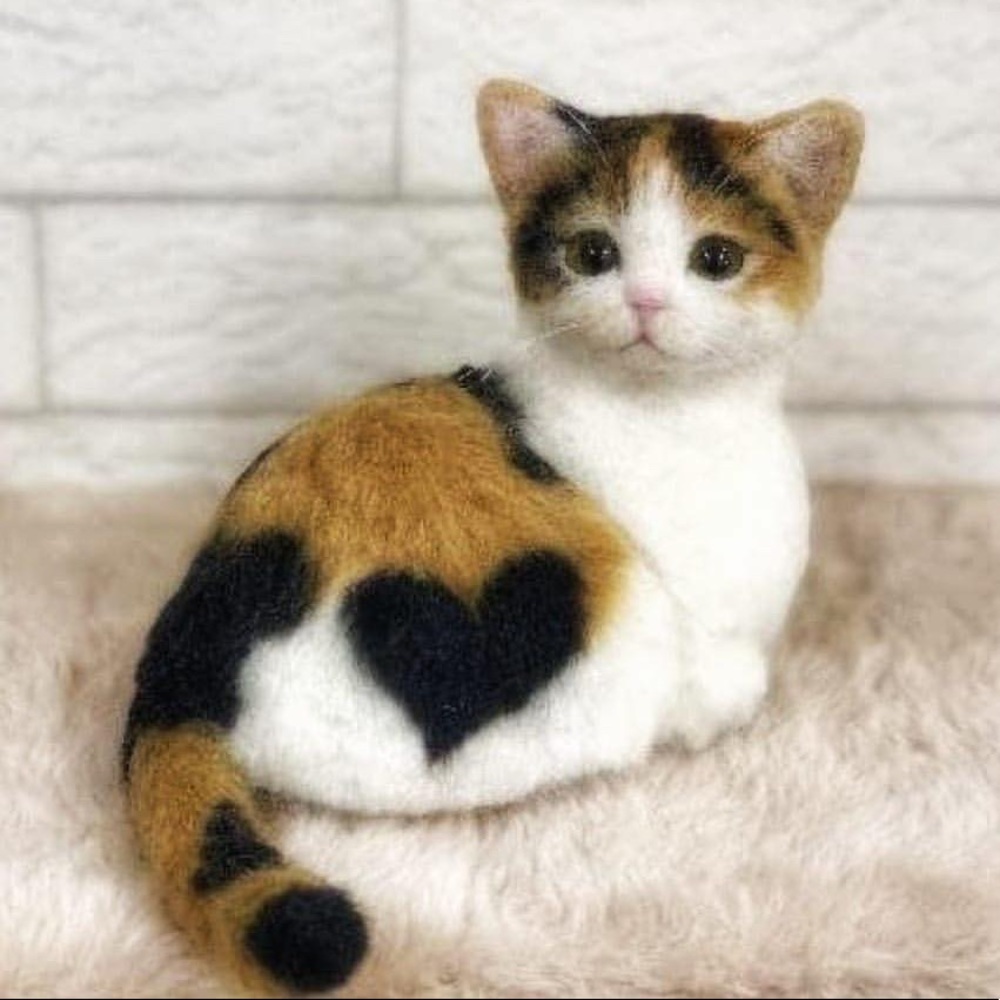 Meet your Posher, Faith